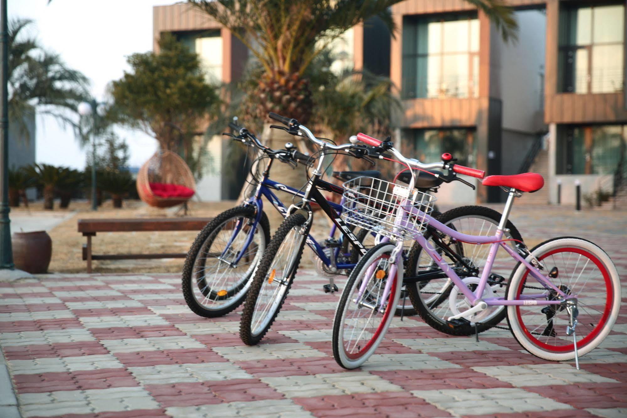 J Raum Resort Seogwipo Ngoại thất bức ảnh